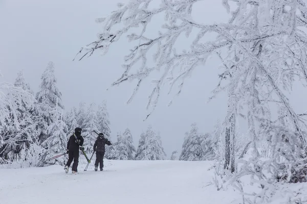 Invierno profundo — Foto de Stock