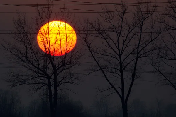 Big sun — Stock Photo, Image