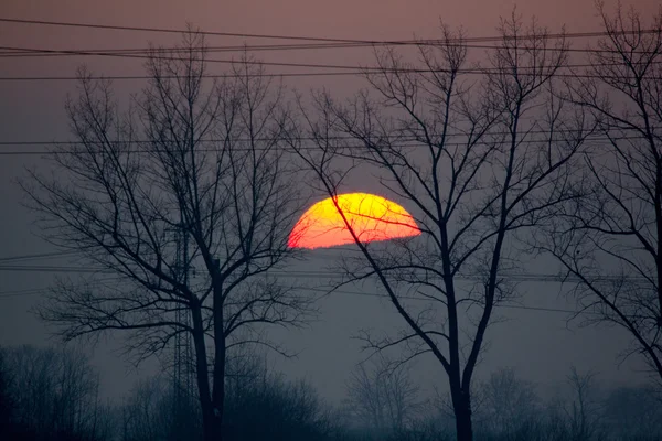 Grote zon — Stockfoto