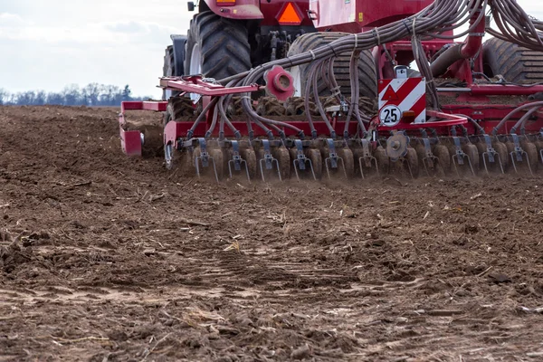 Travaux sur le terrain — Photo