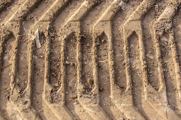 Trabajos de campo — Foto de Stock