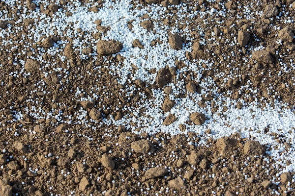 Fertilizantes en el suelo — Foto de Stock