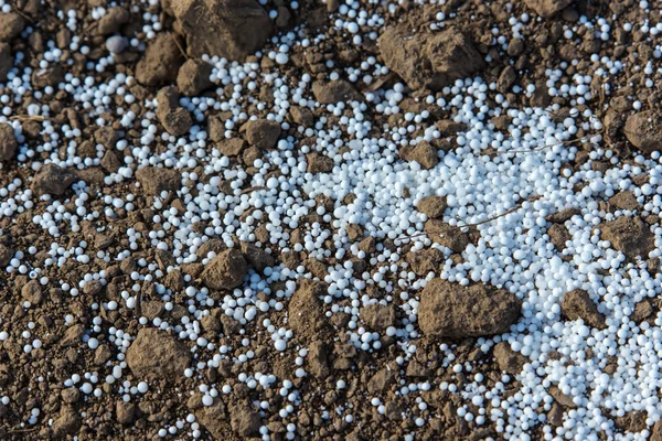 Fertilizers on the ground — Stock Photo, Image