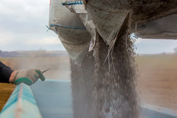 Fertilizing — Stock Photo, Image