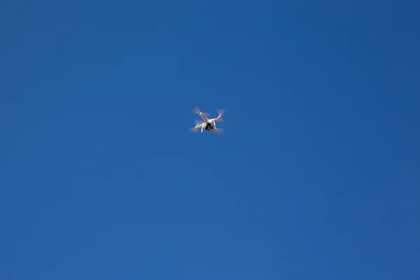 Petit drone — Photo