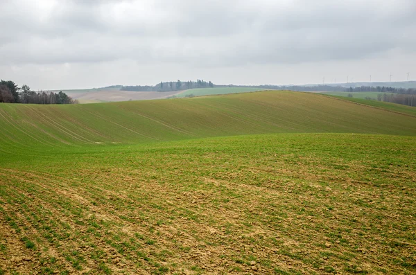 Slecht weer via het veld — Stockfoto