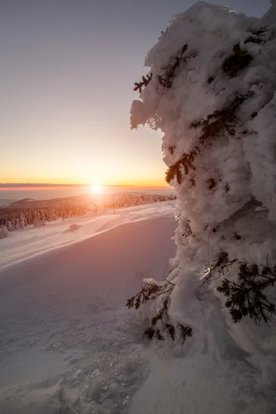 Zonsondergang — Stockfoto