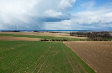 Tarlanın üzerinde fırtına var.