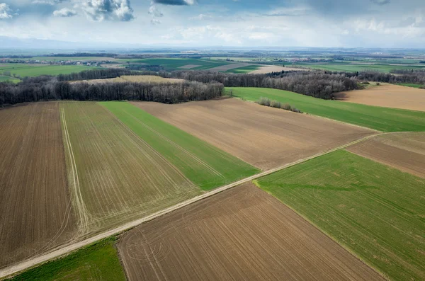 Aerial view of the field — Stock Photo, Image
