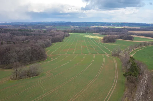 Aerial view of the field — Stock Photo, Image