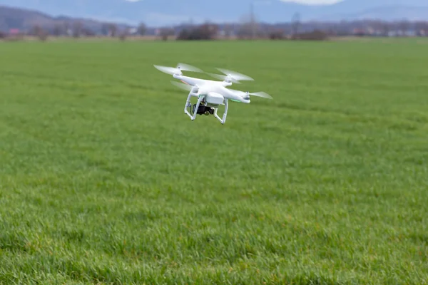 Pequeño dron sobre el campo —  Fotos de Stock