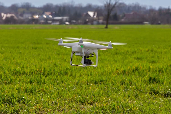 Pequeño dron sobre el campo —  Fotos de Stock