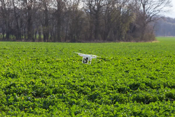 Pequeño dron sobre el campo —  Fotos de Stock