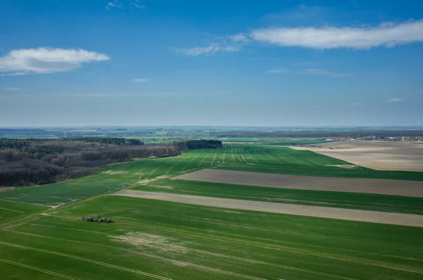 Aerial view of the field — Stock Photo, Image