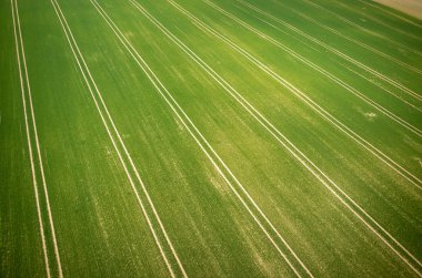 alanın havadan görüntüsü