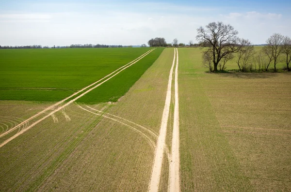 Aerial view of the field — Stock Photo, Image