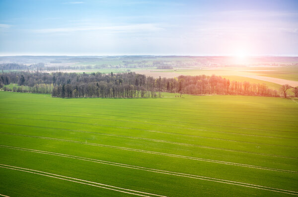 Beautiful sunrise over the fresh green field in spring season