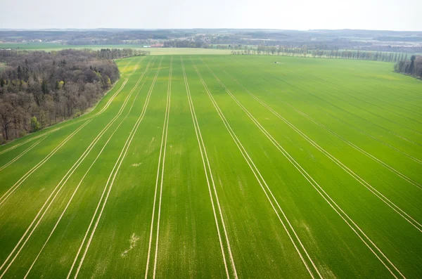 Vista aerea del campo — Foto Stock