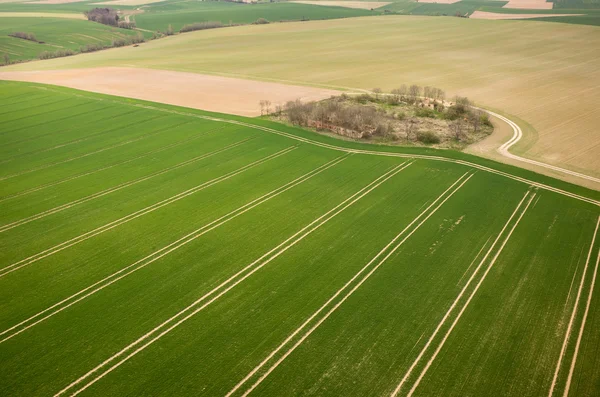 Aerial view of the field — Stock Photo, Image