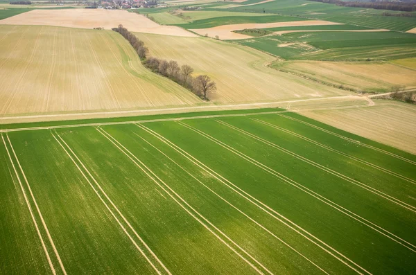 Bovenaanzicht van het veld — Stockfoto