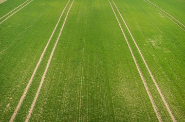 alanın havadan görüntüsü