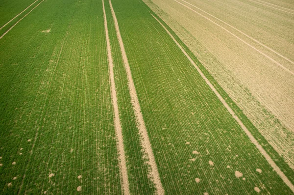 Bovenaanzicht van het veld — Stockfoto