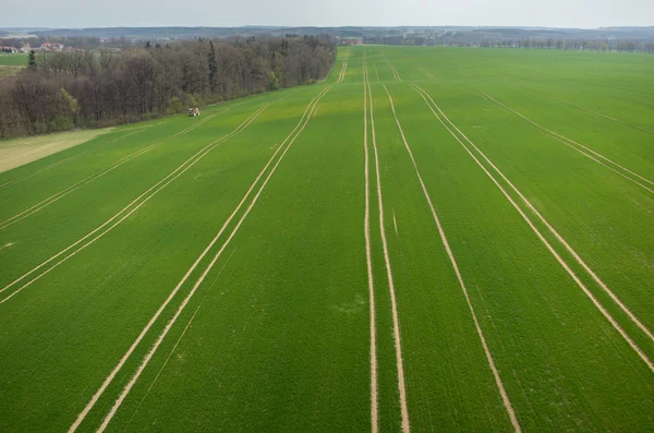 Вид с воздуха на поле — стоковое фото