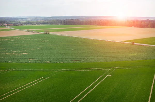 Sunrise over the field — Stock Photo, Image