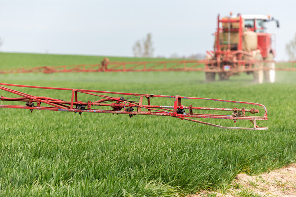 Spraying the herbicides on the green field