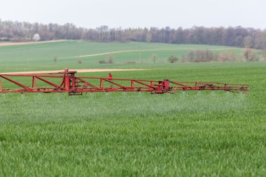 Herbisit üzerinde yeşil alana püskürtme