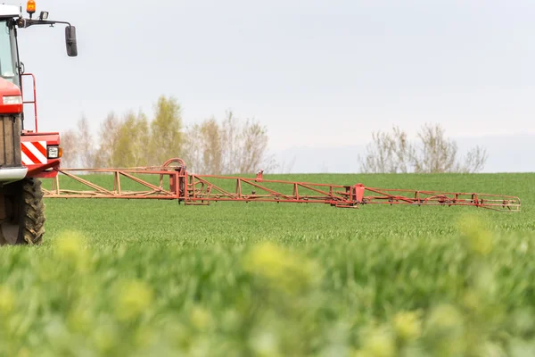 Pulverizando os herbicidas no campo verde — Fotografia de Stock