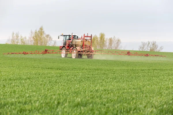 Spraying the herbicides on the green field — Stock Photo, Image