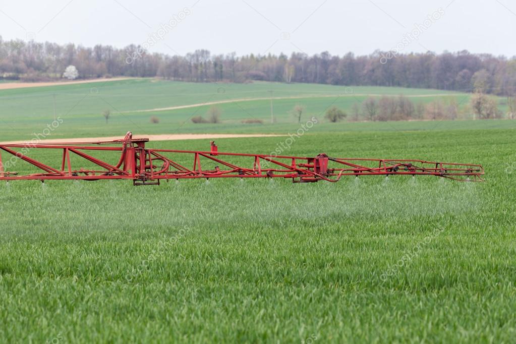 Spraying the herbicides on the green field