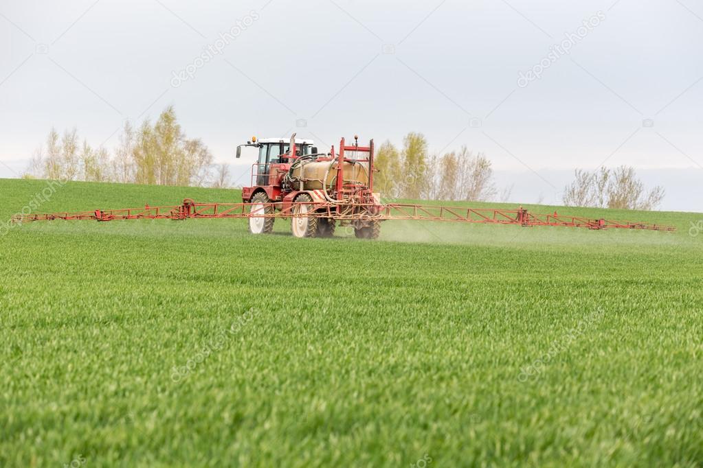 Spraying the herbicides on the green field