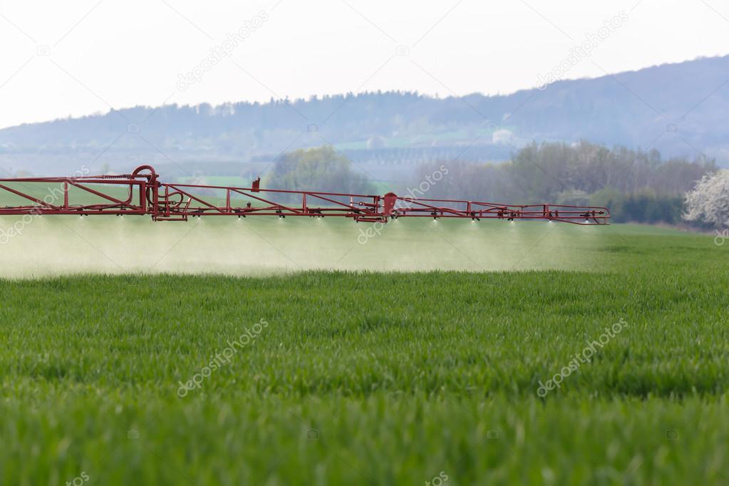 Spraying the herbicides on the green field