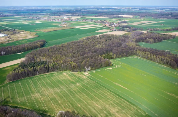 Luftaufnahme des Feldes — Stockfoto