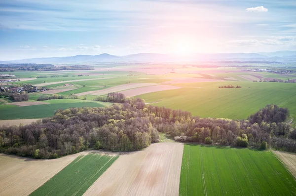 Coucher de soleil sur le champ — Photo