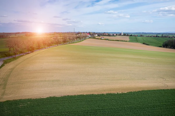 Coucher de soleil sur le champ — Photo