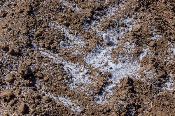 Dünger auf dem Boden — Stockfoto