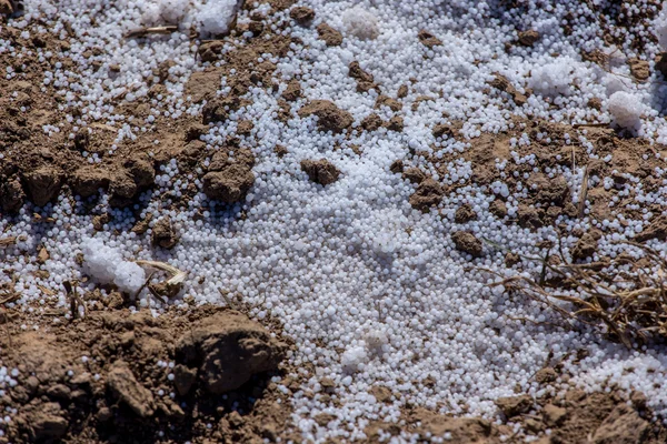 Fertilizantes en el suelo — Foto de Stock