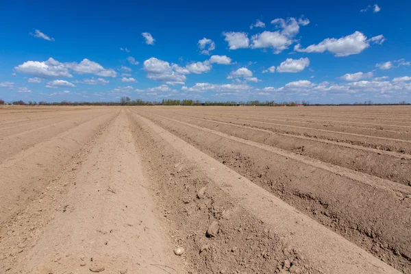 Linhas no campo — Fotografia de Stock