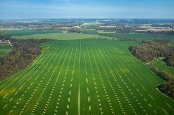 Aerial view of  the field — Stock Photo, Image