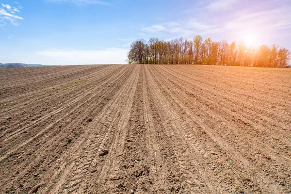 Nascer do sol sobre o campo marrom — Fotografia de Stock