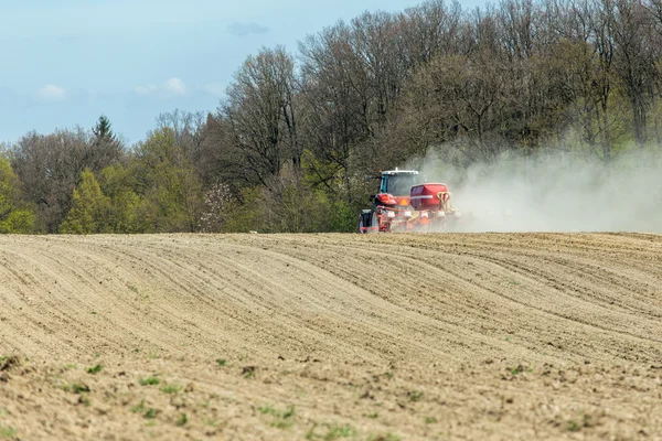 Sowing the corn — Stock Photo, Image