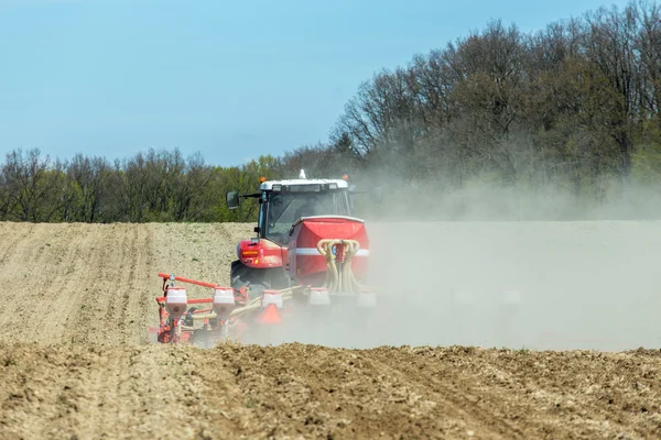 Sowing the corn — Stock Photo, Image