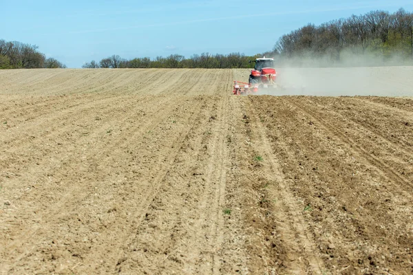 Sowing the corn — Stock Photo, Image