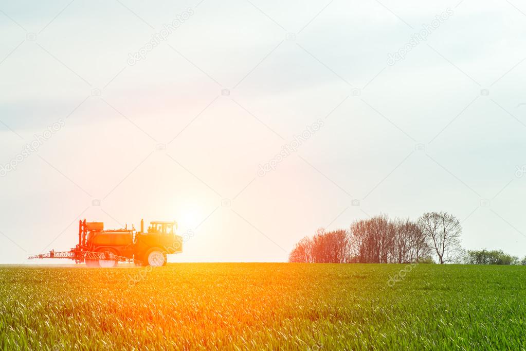 Spraying the herbicides on the green field