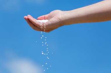 El küçük gübre tam