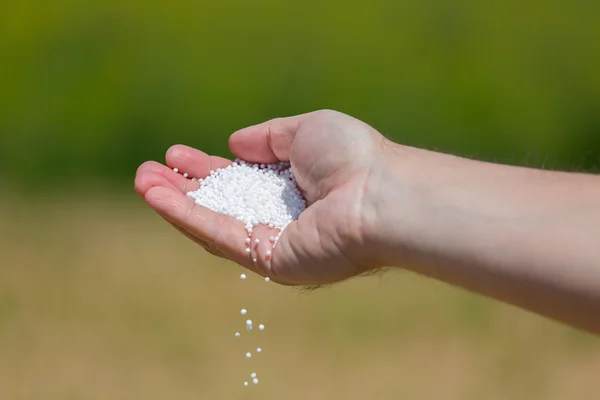 Hand vol van kleine meststof — Stockfoto