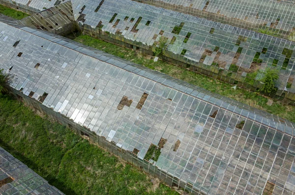 Destroyed greenhouses — Stock Photo, Image